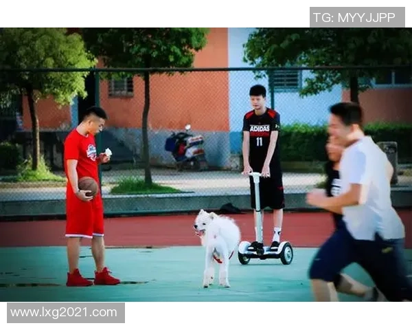 与杨磊畅谈街舞人生之路与梦想追逐的精彩故事 与杨磊畅谈街舞人生之路与梦想追逐的精彩故事