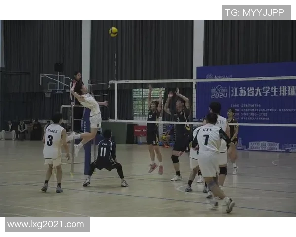 杭州排球队战术创新引领潮流助力排球竞技水平再攀高峰 杭州排球队战术创新引领潮流助力排球竞技水平再攀高峰